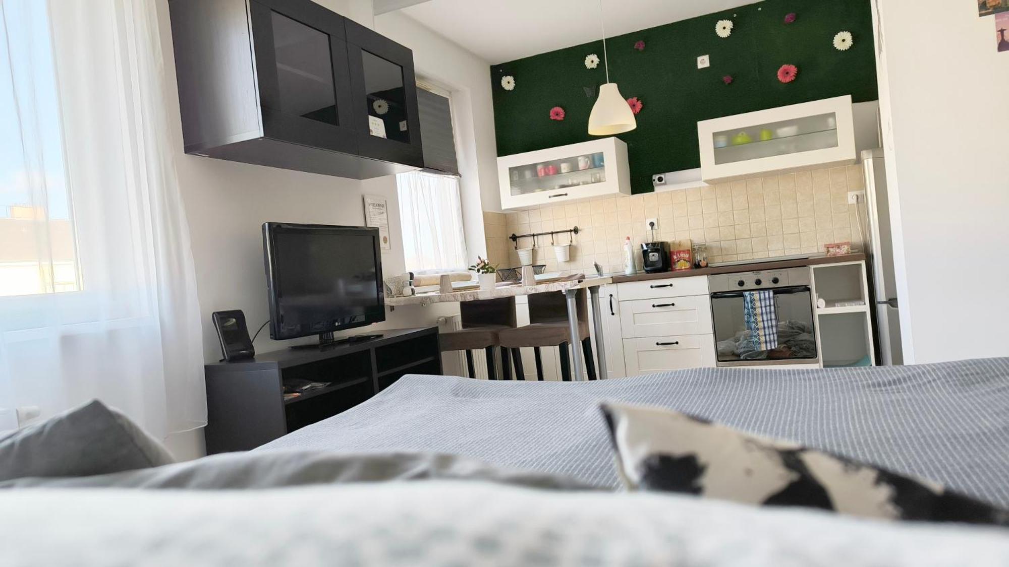 Studio Viva - Cosy Flat In Budapest - Free Parking Exterior foto